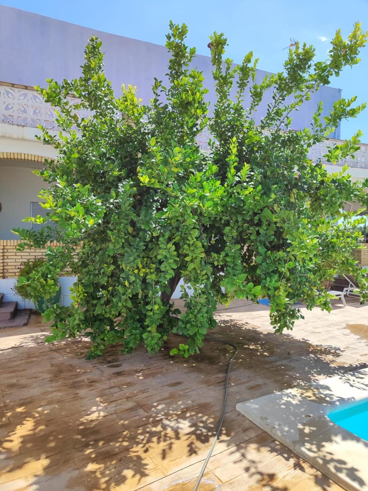El Recreo, Private Pool & Bbq Villa Godelleta Luaran gambar